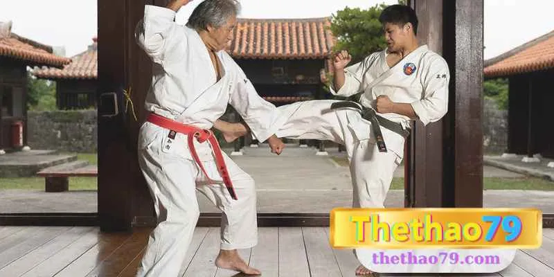 karate