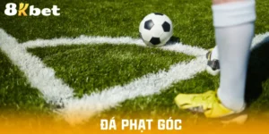 da-phat-goc